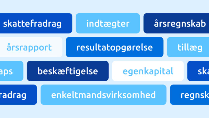 Blogbillede_Skatteregnskab